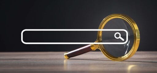 Wyszukiwanie danych Detektyw